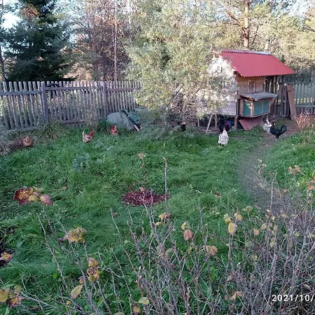 Holiday home Saadjaerve Kingu Talu Puhkemaja